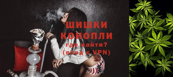 молекула духа Сафоново