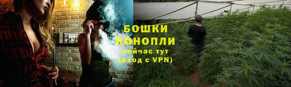 молекула духа Семикаракорск